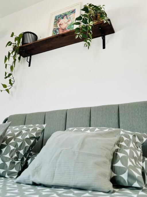 산타크루스데 테네리페 La Casa De Eloisa 아파트 외부 사진
